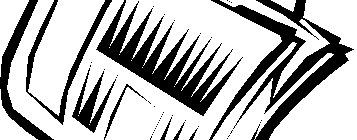 Bericht von K. Junginger für die ZK 2008